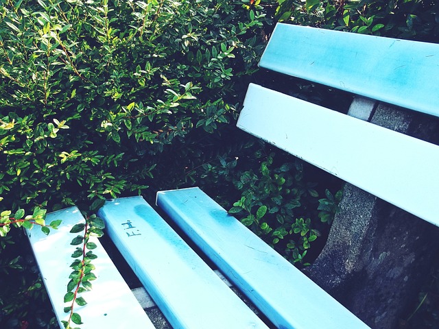 术端的多样 术端的多样