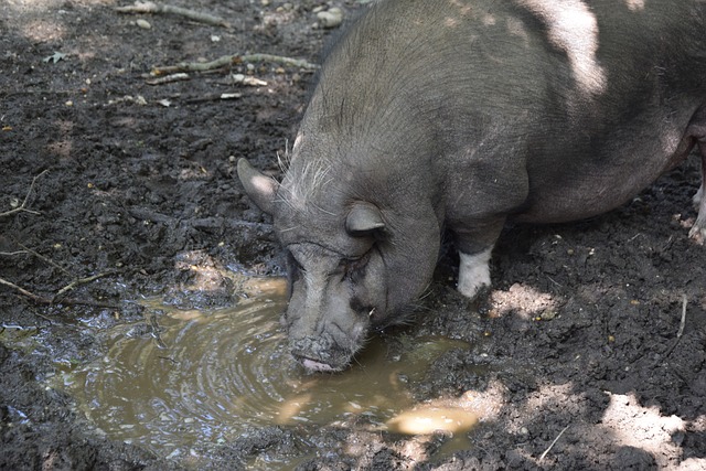 下一个成功 下一个成功