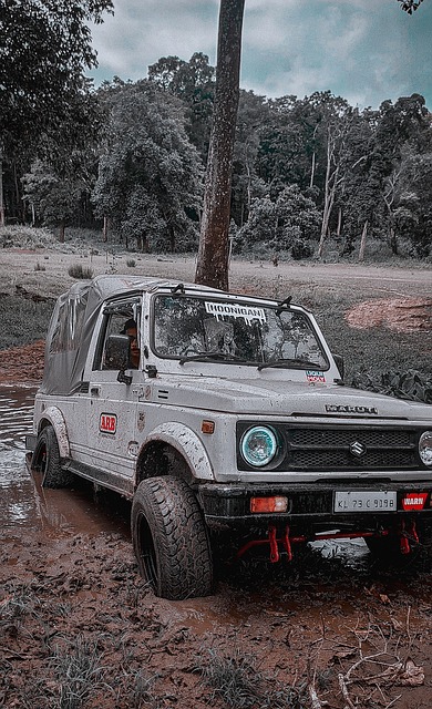 将是每支球 将是每支球