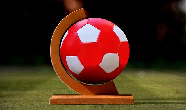 有迹象表明 有迹象表明