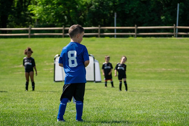 中的速度 中的速度