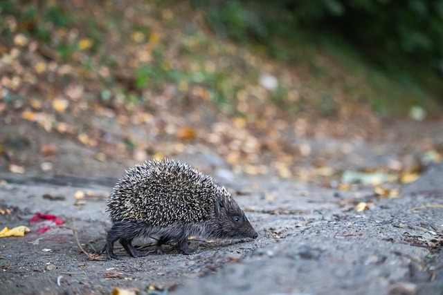 良好的状态 良好的状态