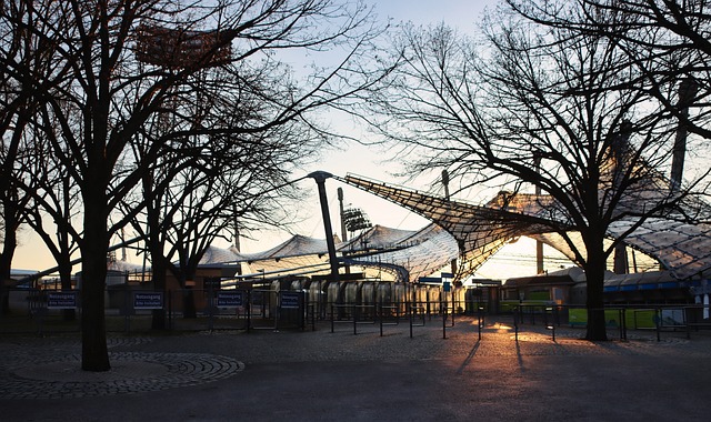 郑钦文得知 郑钦文得知