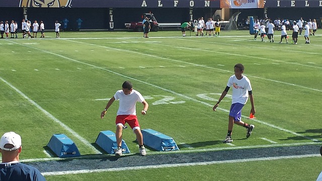 郑钦文的事 郑钦文的事