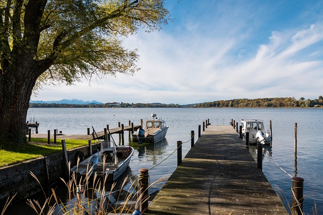 表现出色 表现出色