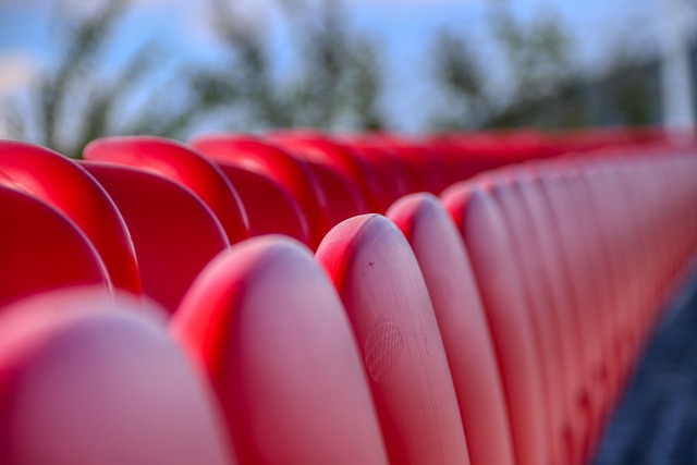 担任前锋 担任前锋