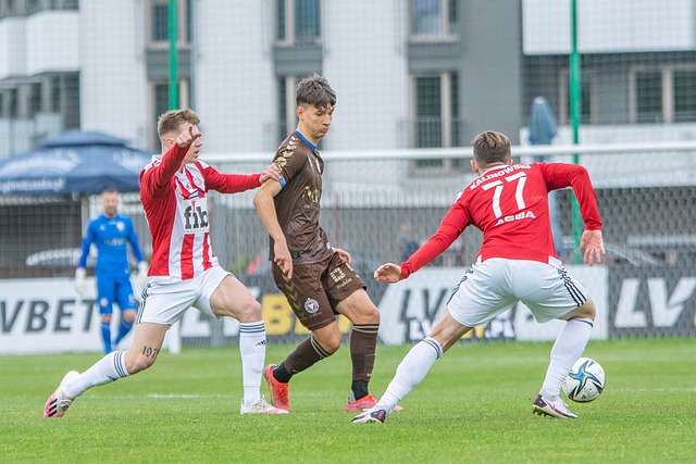 湖北体育博 湖北体育博