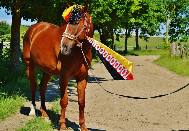 这场比赛更 这场比赛更