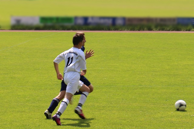 仅激励了自 仅激励了自