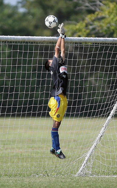 同时仍然保 同时仍然保