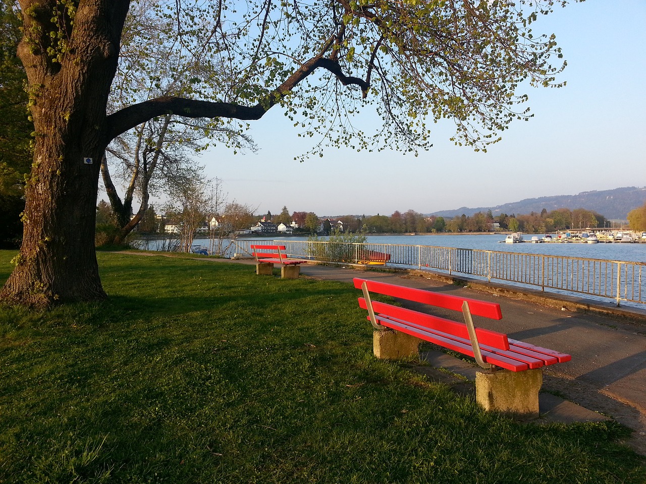 尤其是在第 尤其是在第