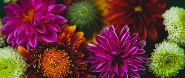 芃芃足球世界 · 昨天05：00.